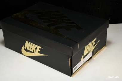DZ5485-020 Palomino Retro 1 High Jordan OG 0719